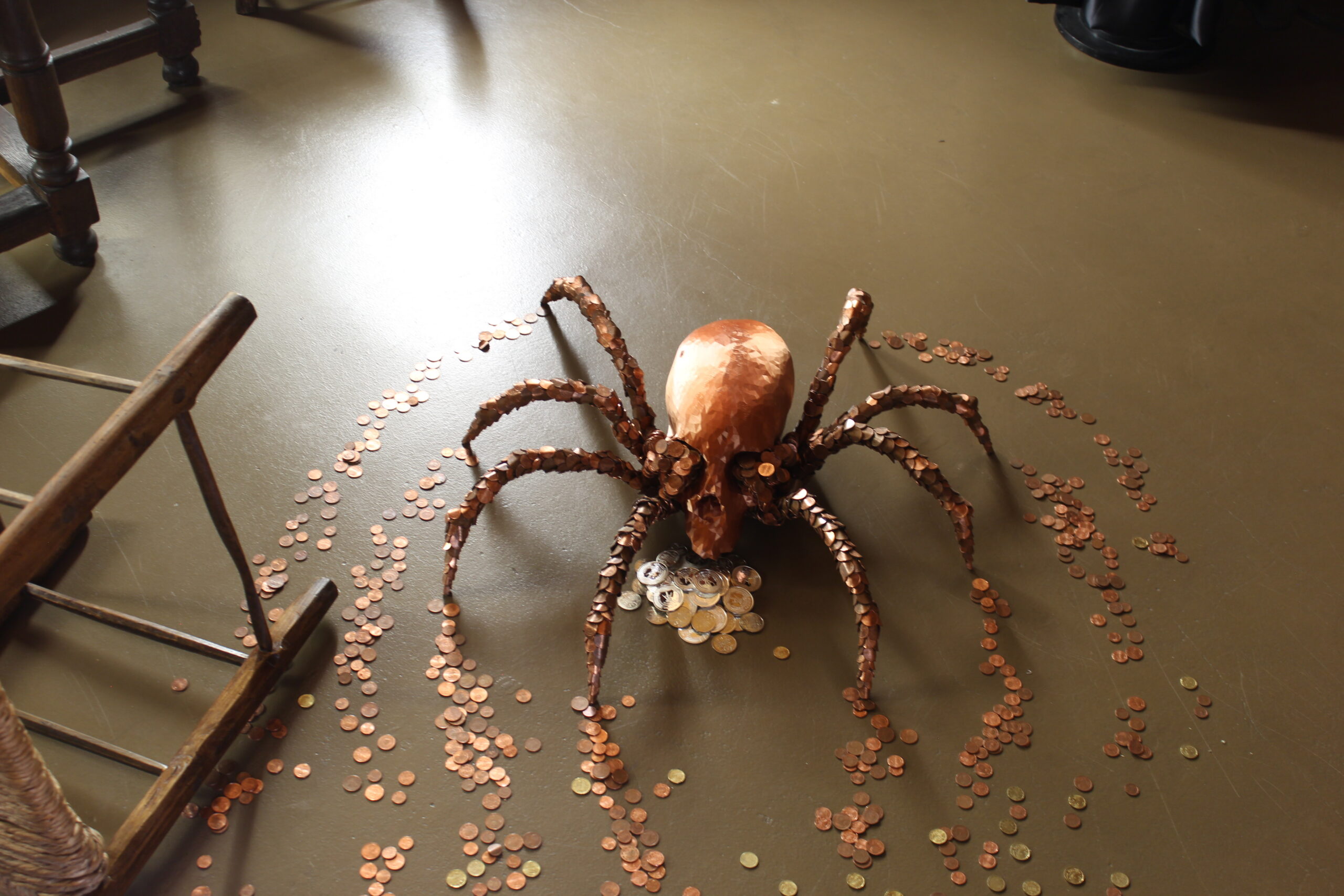money spider_6021